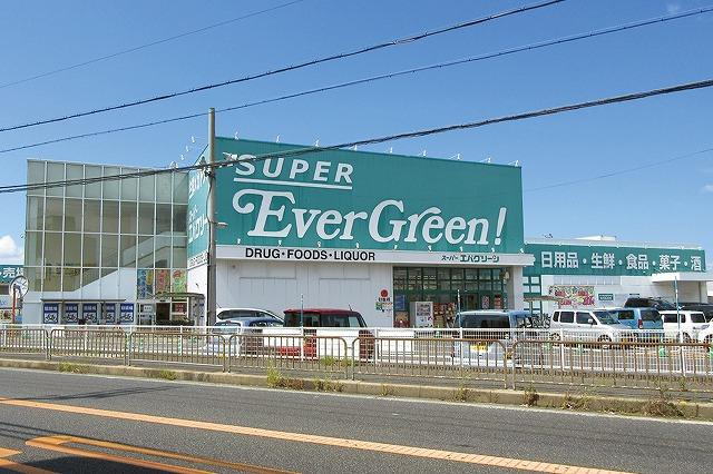 【スーパー】スーパーエバグリーン阪南店まで1300ｍ