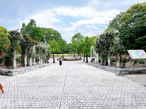 【公園】中央公園まで4254ｍ