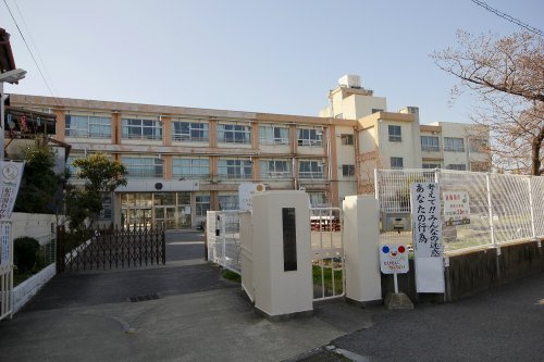 【小学校】野崎小学校まで279ｍ