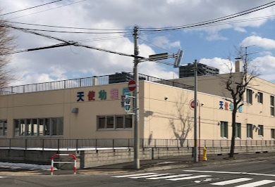 【幼稚園】天使幼稚園まで768ｍ