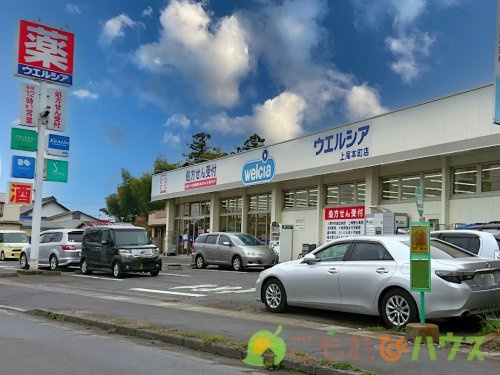 【ドラッグストア】ウエルシア上尾本町店まで341ｍ