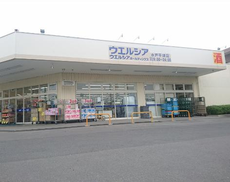 【ドラッグストア】ウエルシア水戸平須店まで637ｍ