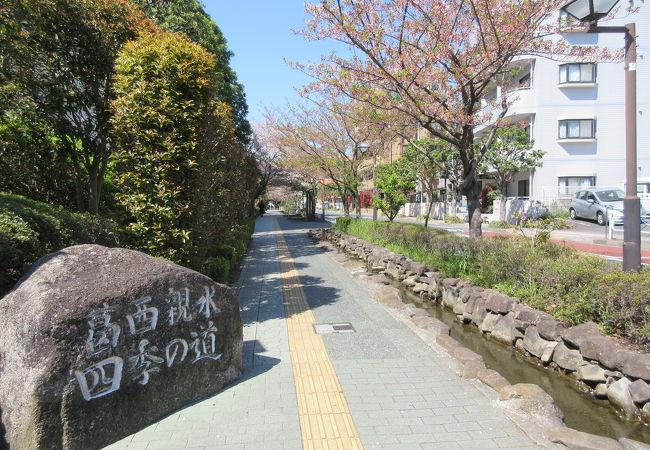 【公園】葛西親水四季の道まで432ｍ