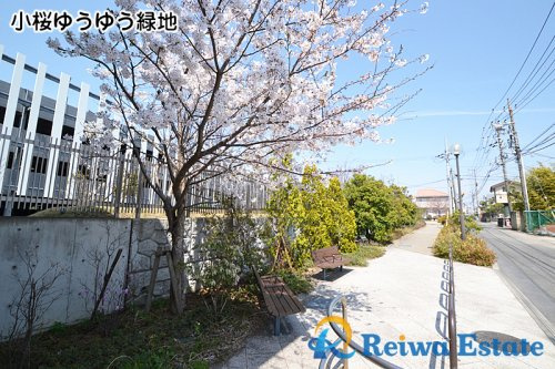 【公園】小桜ゆうゆう緑地まで170ｍ