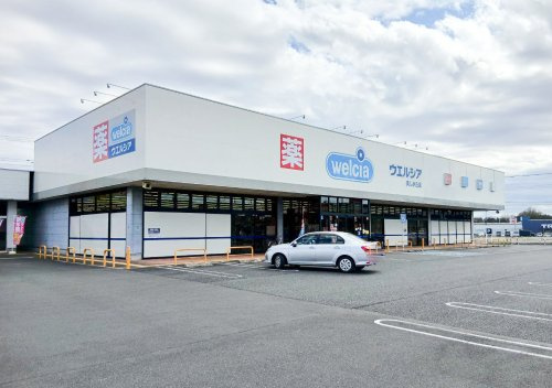 【ドラッグストア】ウエルシア薬局美しが丘店まで743ｍ