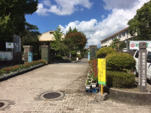 【小学校】玉江小学校まで1706ｍ