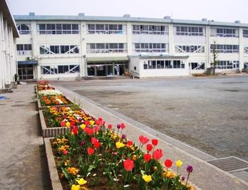 【小学校】茅ヶ崎市立松林小学校まで1183ｍ