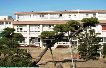 【中学校】茅ヶ崎市立松林中学校まで302ｍ