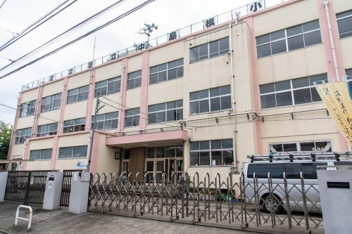【小学校】足立区立中島根小学校まで559ｍ