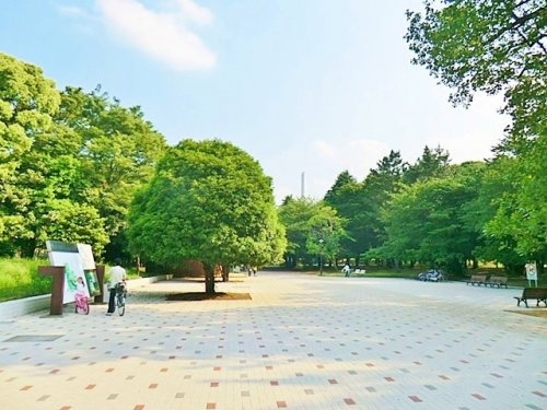 【公園】光が丘公園まで1360ｍ