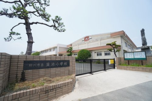 【小学校】柳川市立蒲池小学校まで1009ｍ