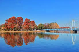 【公園】水元公園まで1292ｍ