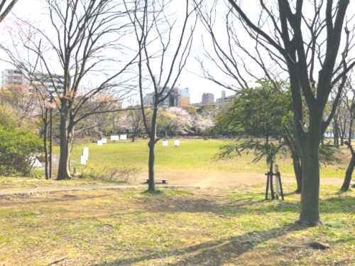 【公園】第一カッターきいろ公園まで592ｍ