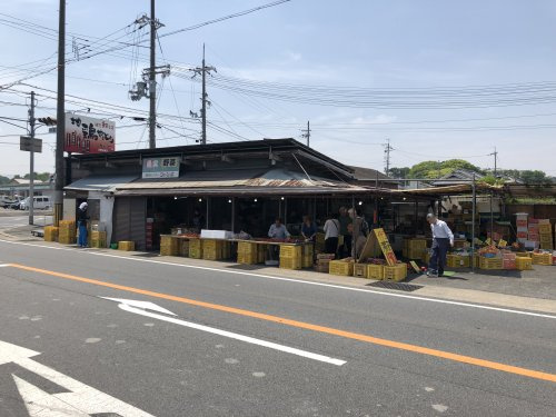 【スーパー】卸売りセンタージャンボまで313ｍ