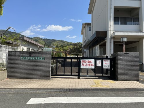 【小学校】桜井市立三輪小学校まで1196ｍ