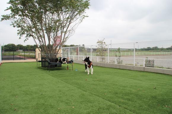 【公園】上里　カンターレドッグランまで1944ｍ