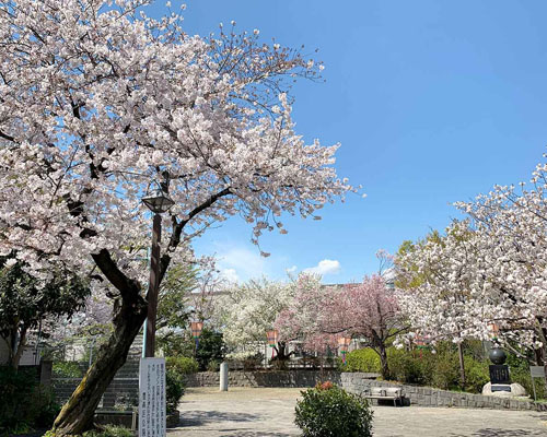【公園】豊島区立上池袋さくら公園まで134ｍ