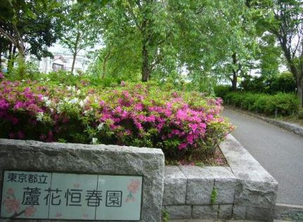 【公園】都立蘆花恒春園まで738ｍ