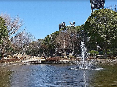 【公園】平塚市総合公園まで919ｍ