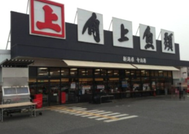 【その他】角上魚類　所沢店まで1264ｍ