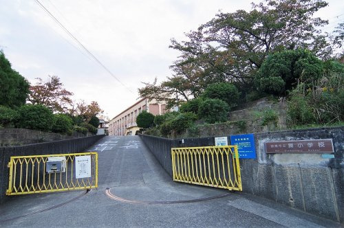 【小学校】阪南市立舞小学校まで174ｍ