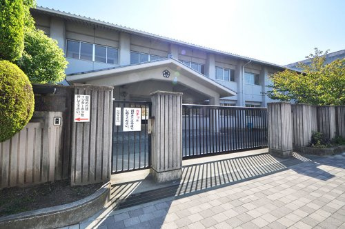 【小学校】岸和田市立大宮小学校まで790ｍ