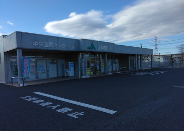 【銀行】JA市原市市津支店まで281ｍ
