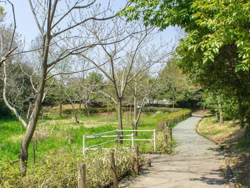 【公園】いまいずみほたる公園まで1573ｍ