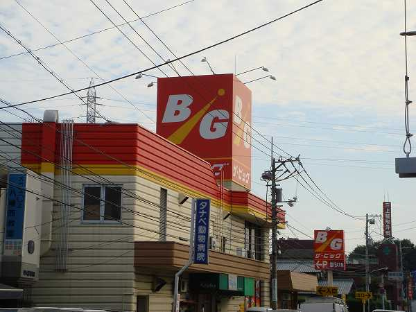 【スーパー】The　Big(ザ・ビッグ)　五日市店まで1366ｍ
