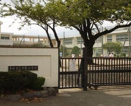 【小学校】平塚市立　中原小学校まで1043ｍ