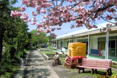【幼稚園】ひばり幼稚園（平塚市）まで947ｍ