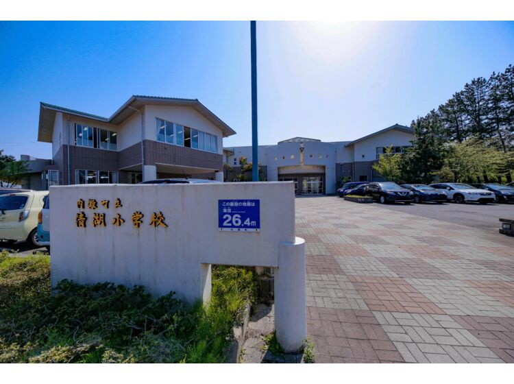 【小学校】清湖小学校まで579ｍ
