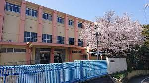 【小学校】柏原市立国分小学校まで1040ｍ