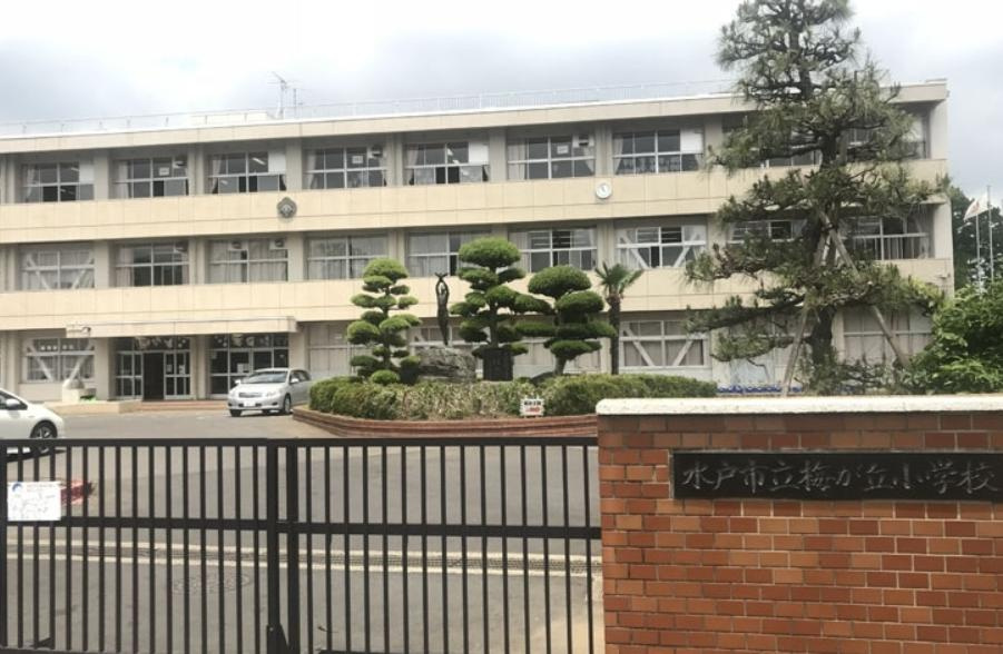 【小学校】梅が丘小学校まで260ｍ