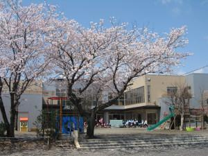【幼稚園】つくし幼稚園まで1517ｍ