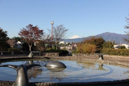 【公園】大谷近隣公園まで2238ｍ