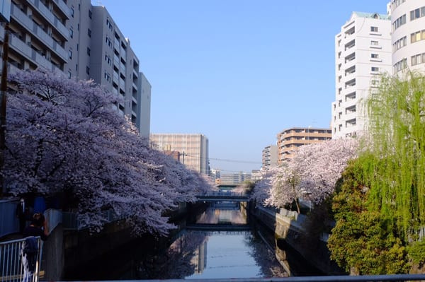 【公園】石崎川公園まで610ｍ