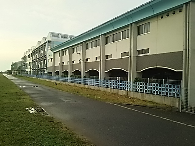 【中学校】川口市立南中学校まで1075ｍ