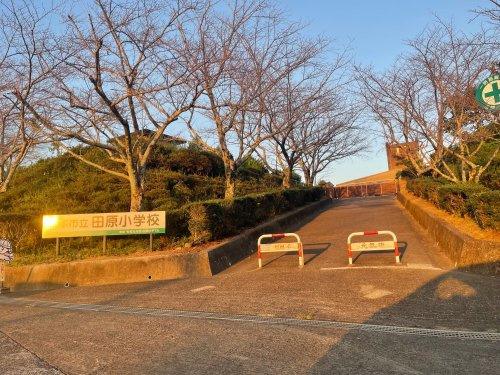 【小学校】熊本市立田原小学校まで845ｍ