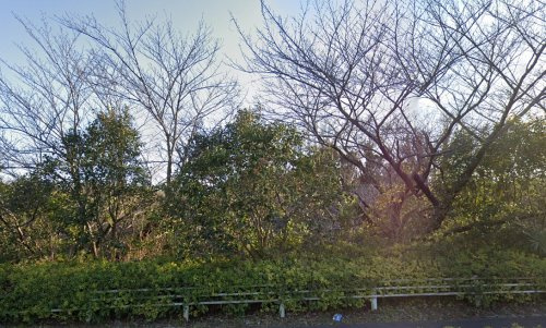 【公園】加曽利緑地まで546ｍ