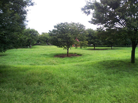 【公園】祖師谷公園まで120ｍ