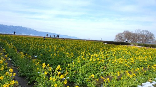 【公園】第一なぎさ公園まで98ｍ