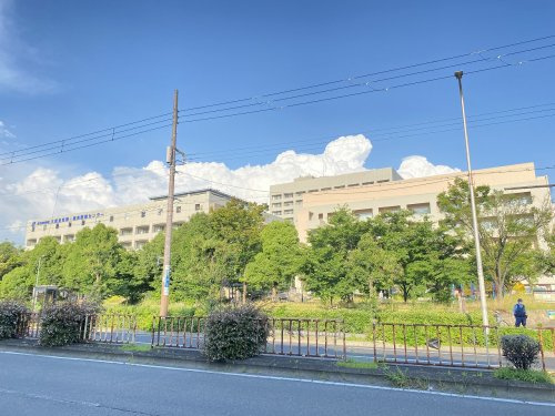 【総合病院】大阪府立急性期・総合医療センターまで489ｍ