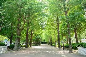 【公園】城北中央公園まで240ｍ