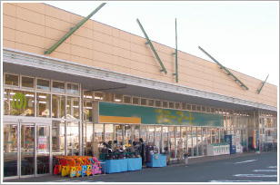 【スーパー】マミーマート　金子店まで1170ｍ