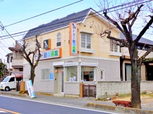 【動物病院】トミー動物病院まで2136ｍ