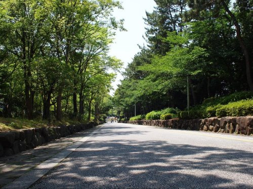 【公園】服部緑地まで1309ｍ