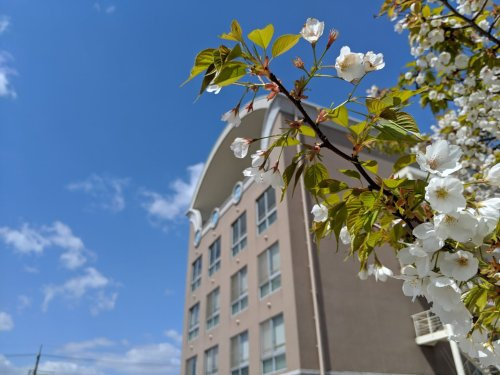 【専門学校】ソワニエ看護専門学校まで1989ｍ