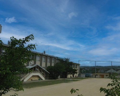 【小学校】枚方市立桜丘小学校まで857ｍ