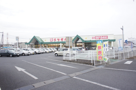 【スーパー】とりせん羽川店まで1359ｍ